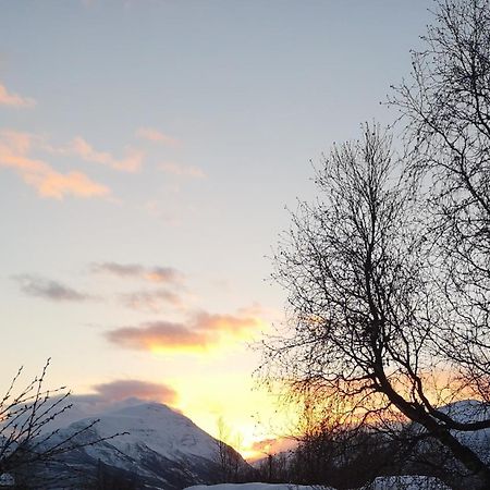 Best No1 Manndalen Buitenkant foto