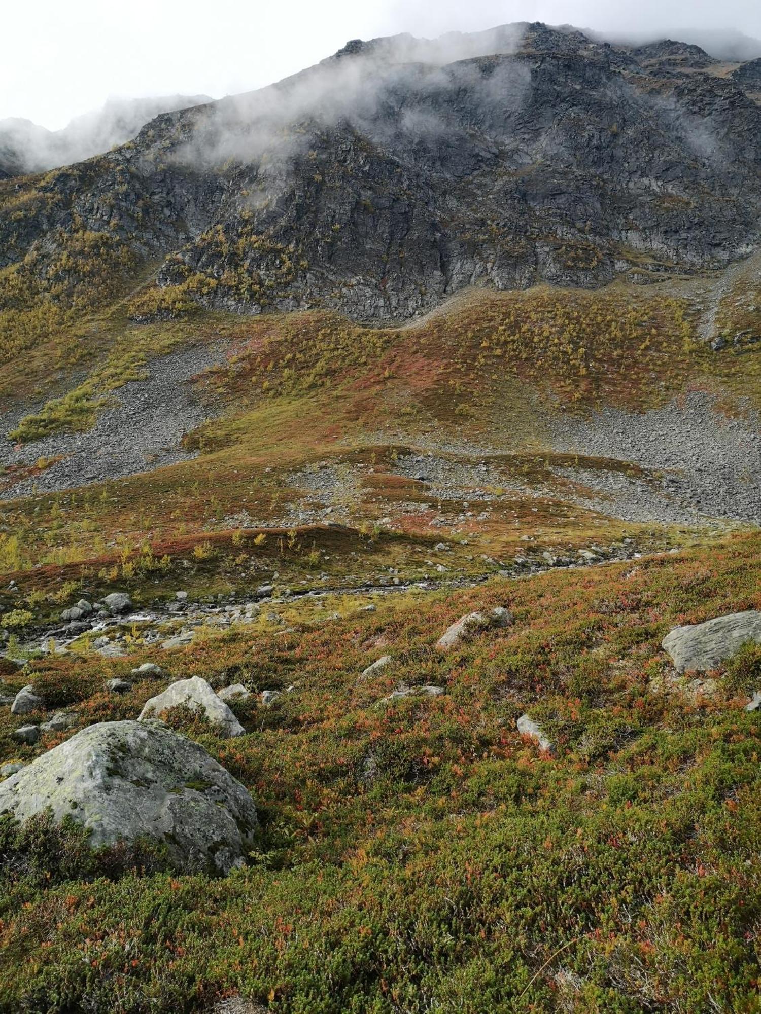 Best No1 Manndalen Buitenkant foto